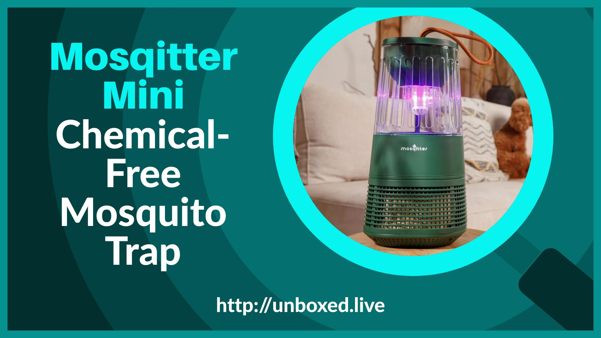 Tackling Mosquito Problems with the Mosqitter Mini: Unboxing and Overview
